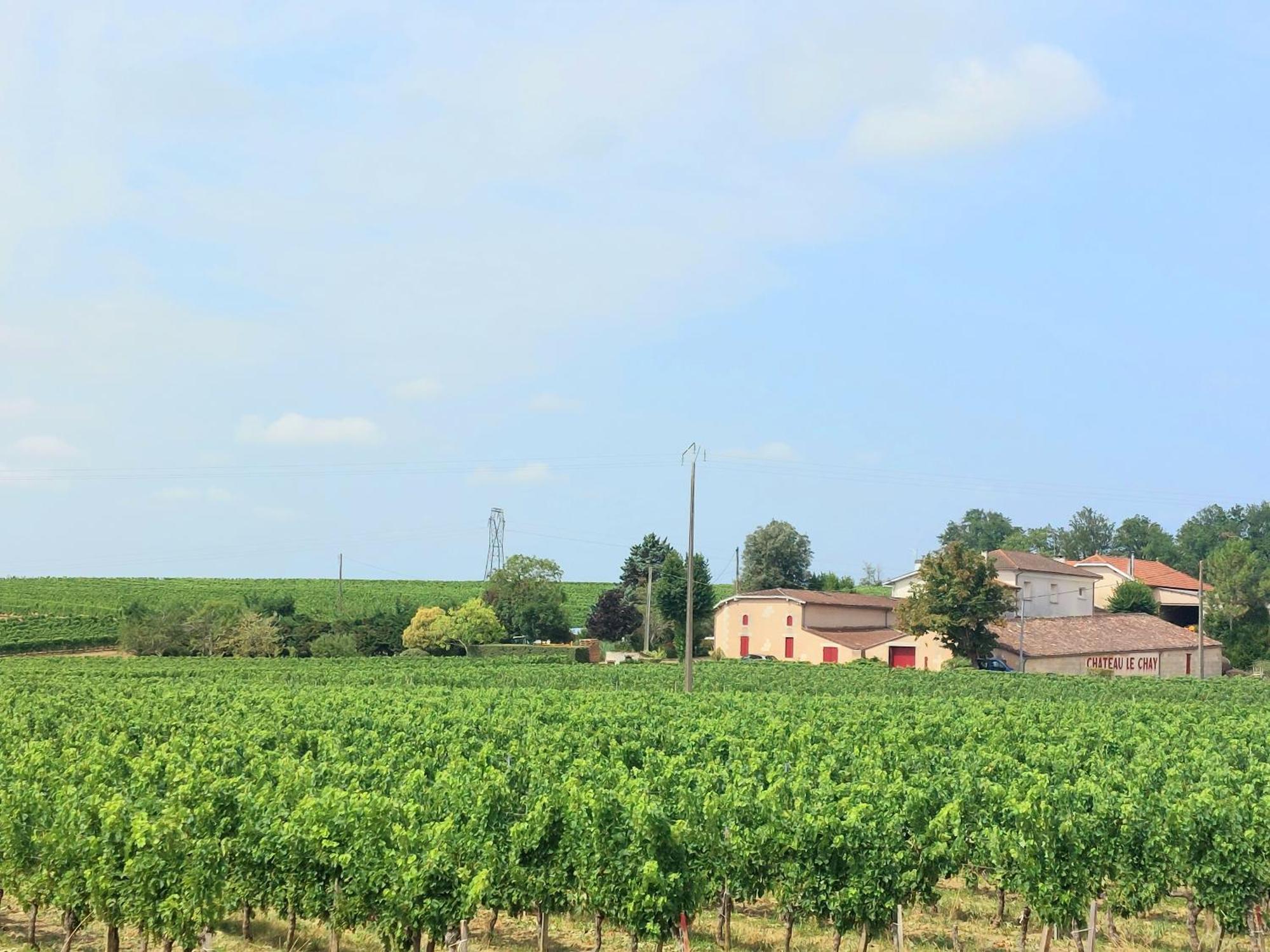 Duplex Cocoon - 10 Min De Blaye - 20 Min Cnpe - Wifi - Tv Hd Appartement Saint-Seurin-de-Cursac Buitenkant foto